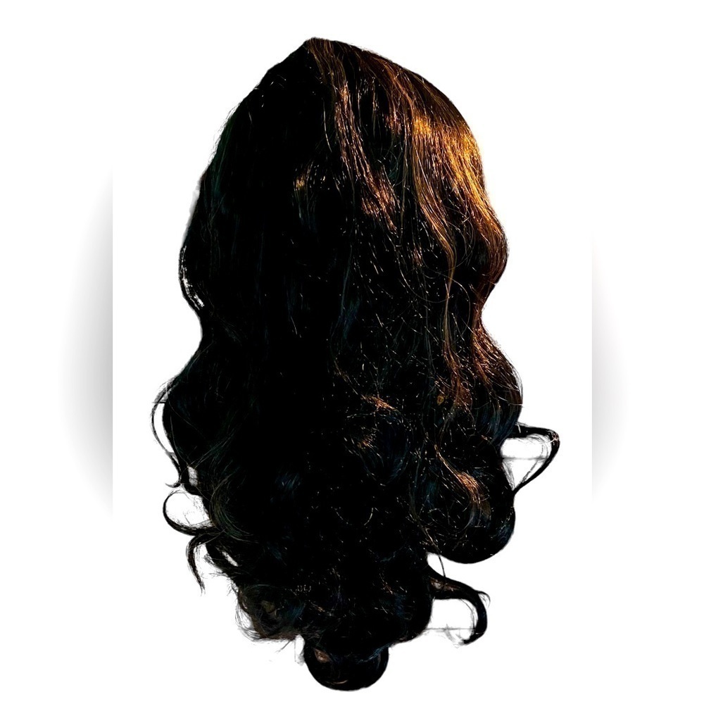 26 Inch Curly Two Toned Wig Synthetic NIP